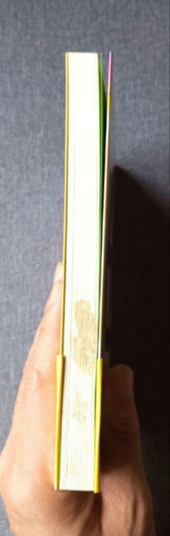 医者でダメなら 神具「ホウリン」の奇跡 / 高坂和導 / 明窓出版