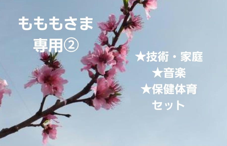 【もももさま専用②】実技教科セット