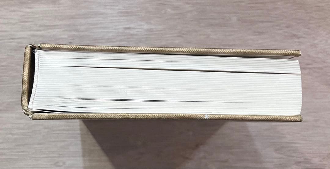 Juergen Teller GO-SEES ユルゲン・テラー　写真集　送料無料