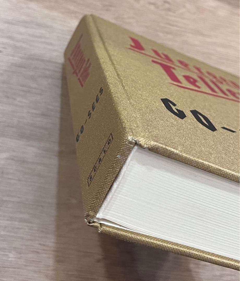 Juergen Teller GO-SEES ユルゲン・テラー　写真集　送料無料