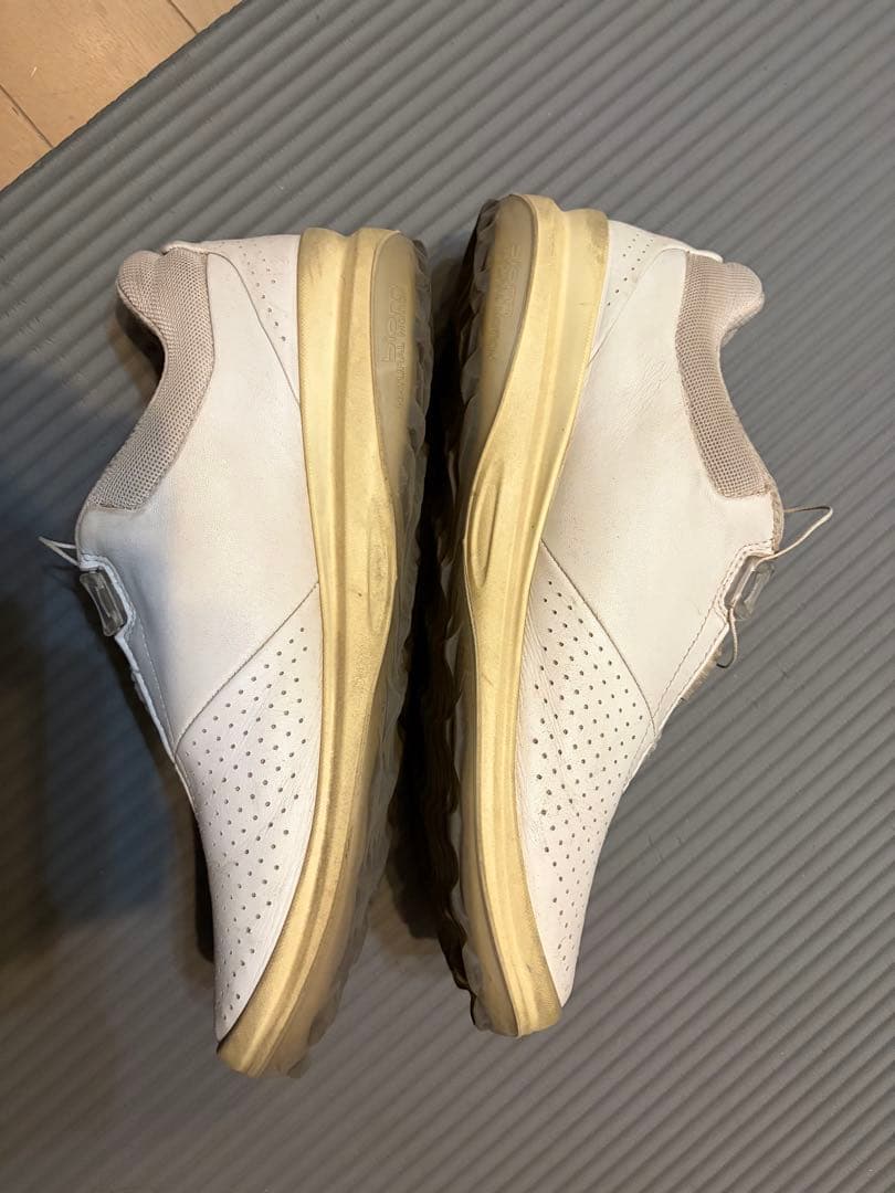 メンズ エコー M ゴルフ バイオム ハイブリッド3ゴルフシューズ