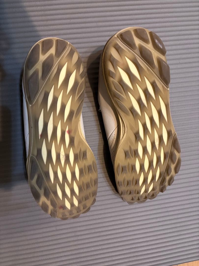 メンズ エコー M ゴルフ バイオム ハイブリッド3ゴルフシューズ