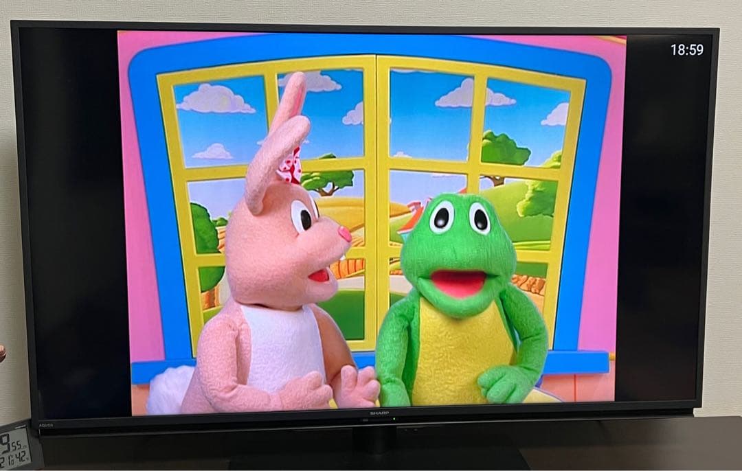 【画像追加】ズィッピーアンドミー zippy and me DWE 未開封