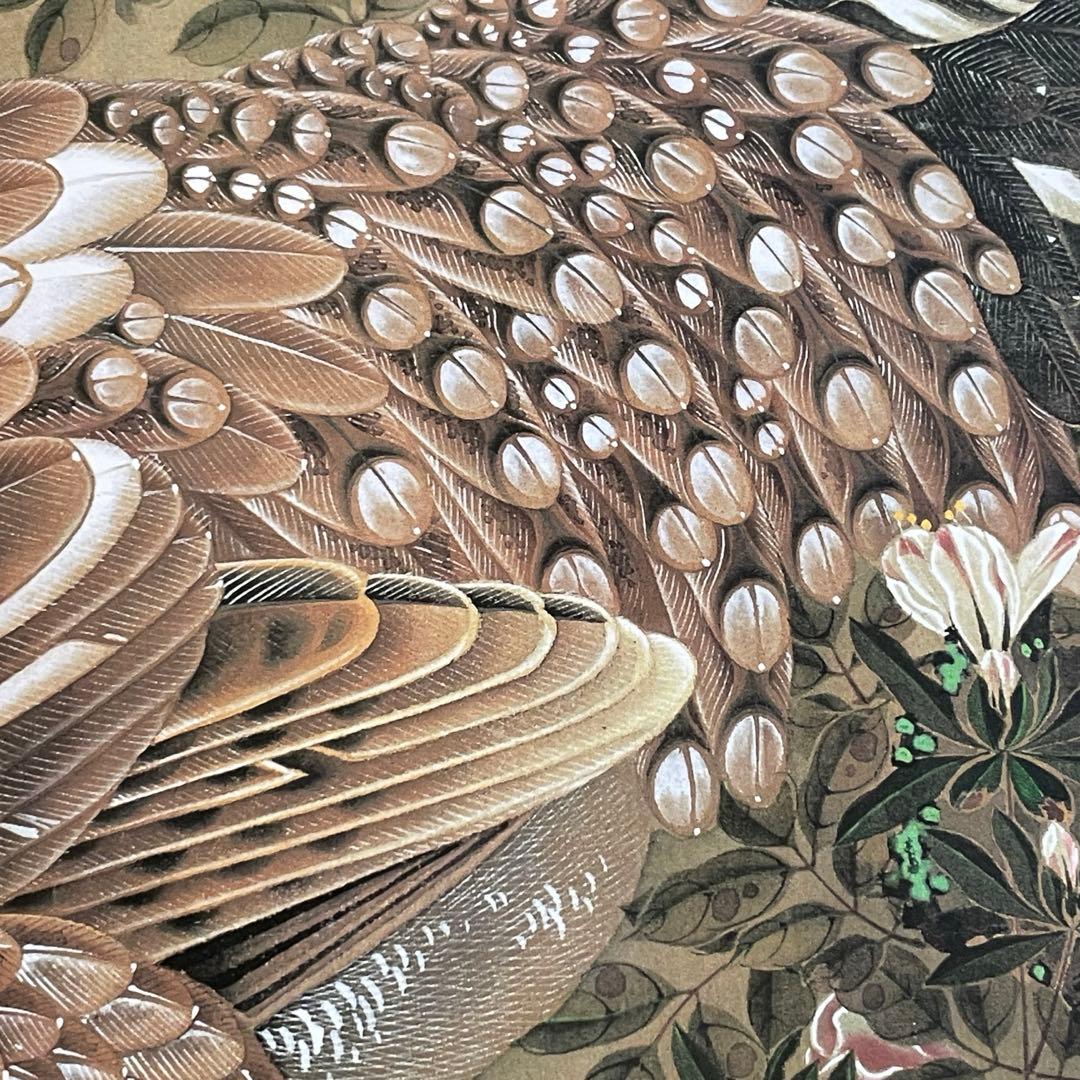 伊藤若冲　大全　京都国立博物館　小学館