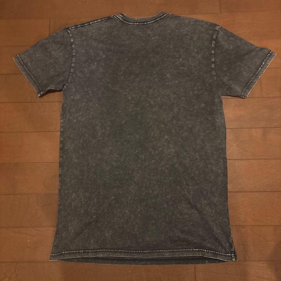 TYLA Aisa tour Tシャツ Mサイズ