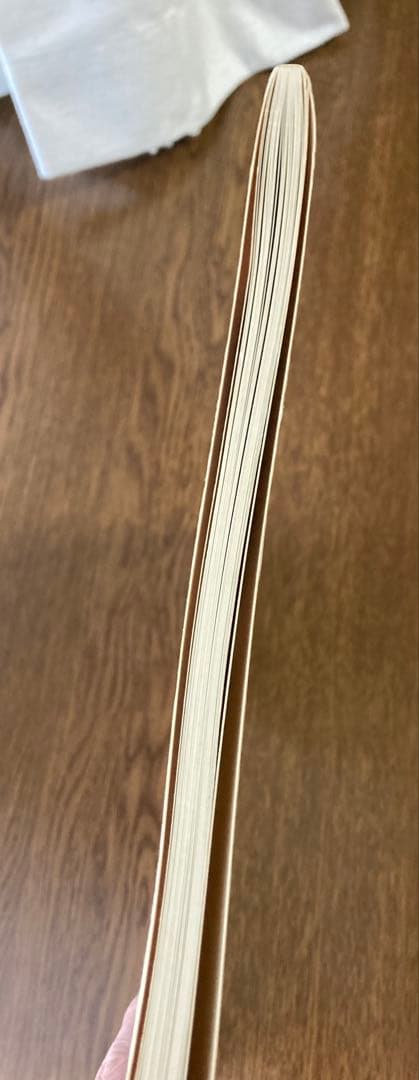 佐内正史 写真集 「生きている」 二版