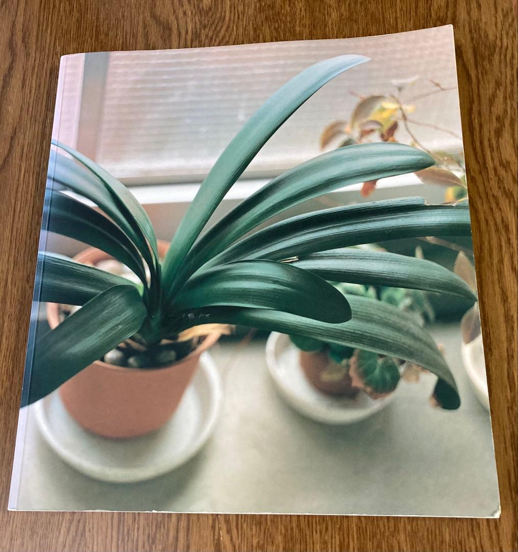 佐内正史 写真集 「生きている」 二版