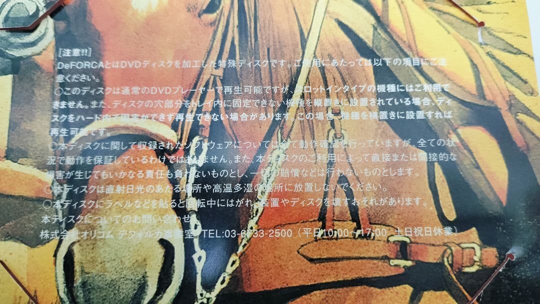 キャンペーン当選品 リップスライム 激レアDVD(非売品)