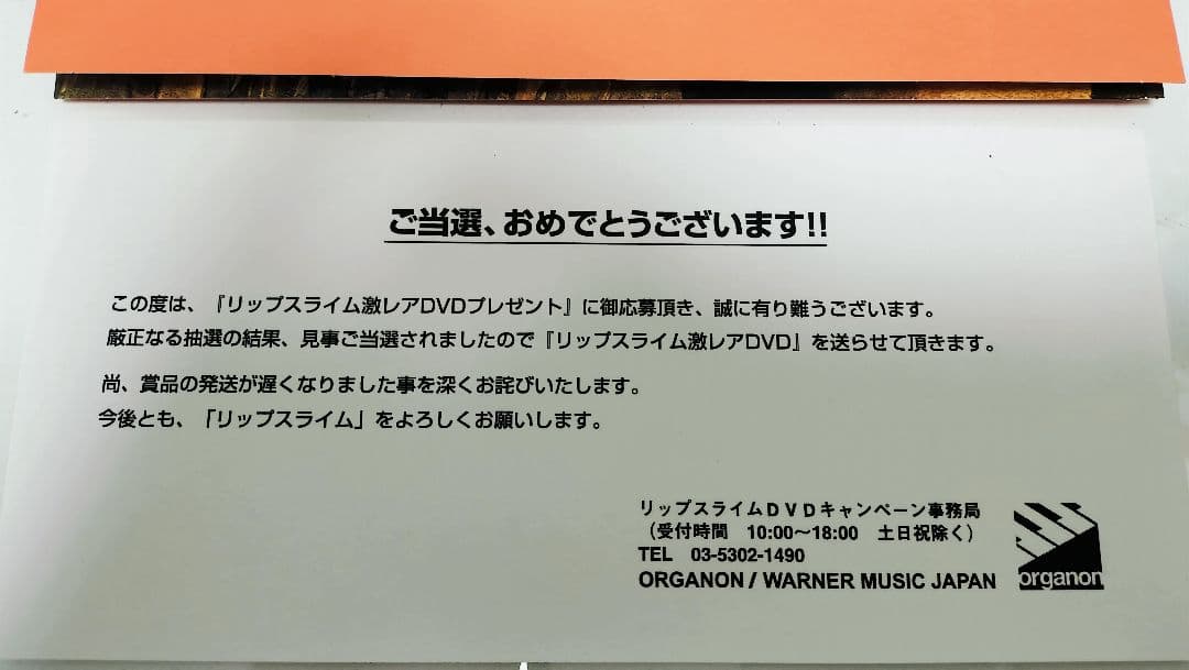 キャンペーン当選品 リップスライム 激レアDVD(非売品)