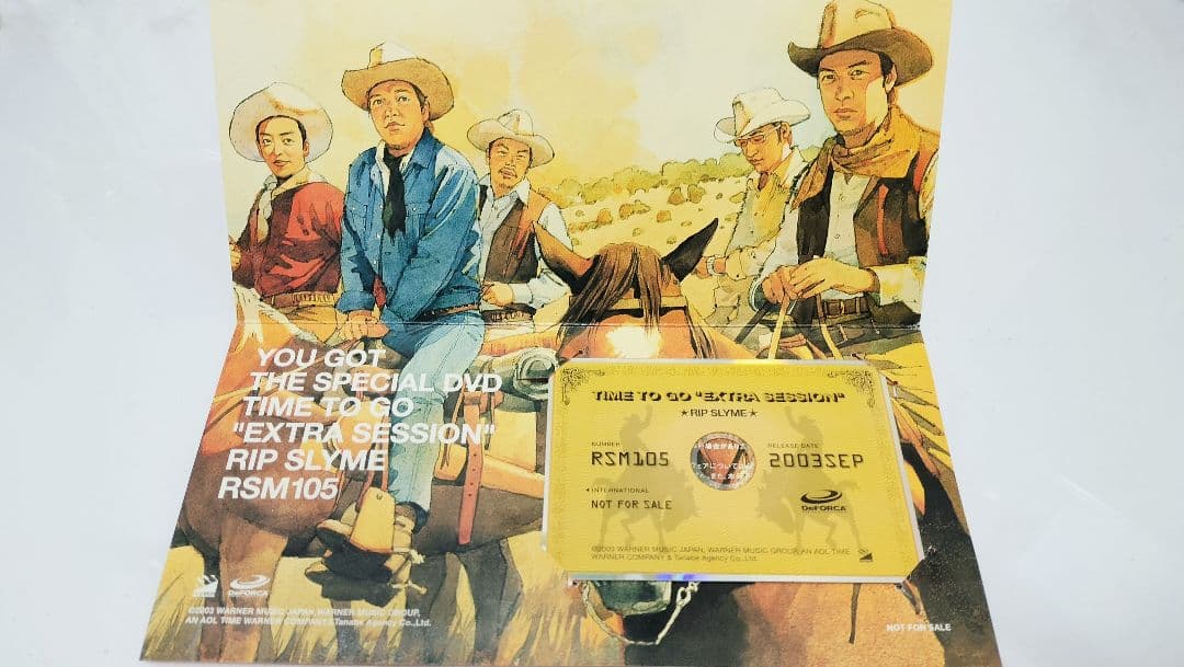 キャンペーン当選品 リップスライム 激レアDVD(非売品)