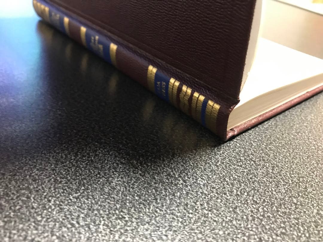 超レア エラー洋書　the fathers of the church ST