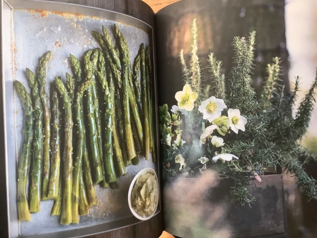 イタリア　レシピ集　マセラティ　フェラーリ　フィアット　カッシーナ　B&B