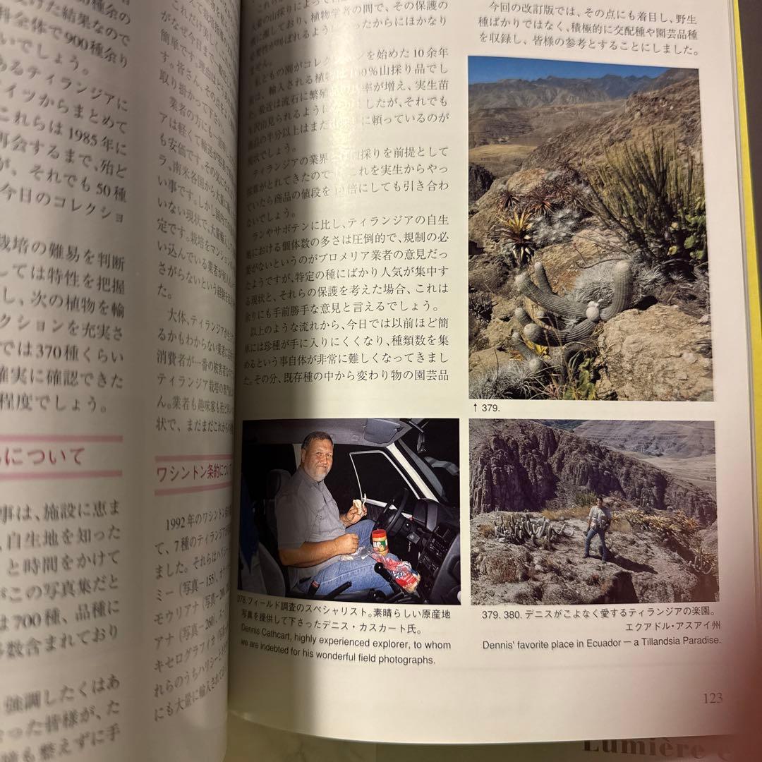 ティランジアハンドブック 改訂版 清水秀男 滝沢弘之 カバー付 【美品】