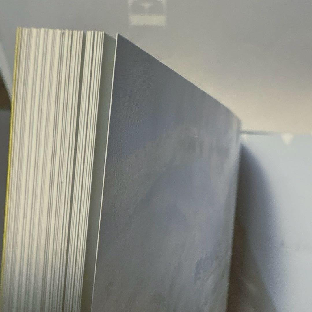 ティランジアハンドブック 改訂版 清水秀男 滝沢弘之 カバー付 【美品】