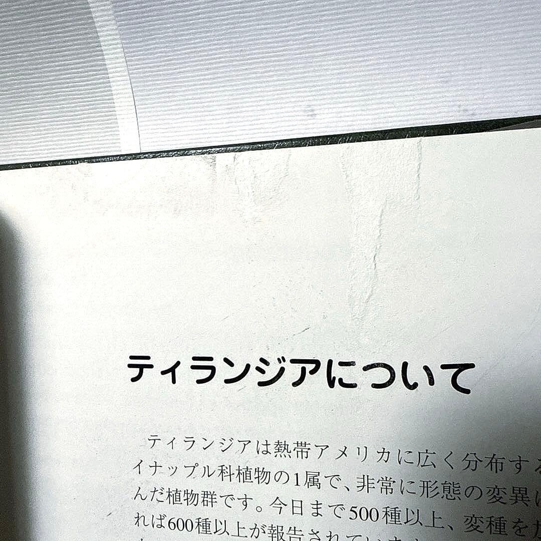 ティランジアハンドブック 改訂版 清水秀男 滝沢弘之 カバー付 【美品】