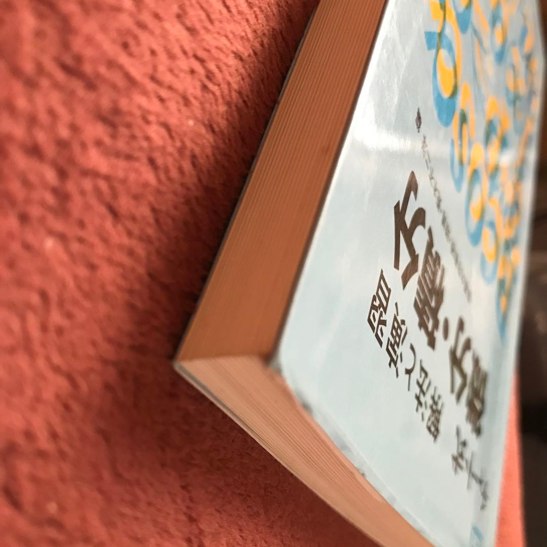 【入手困難品】チャート式 微分・積分 数研出版