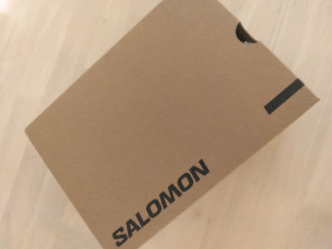 ★【国内正規品】SALOMON　XA PRO 3D V9 GTX W　23.5㎝