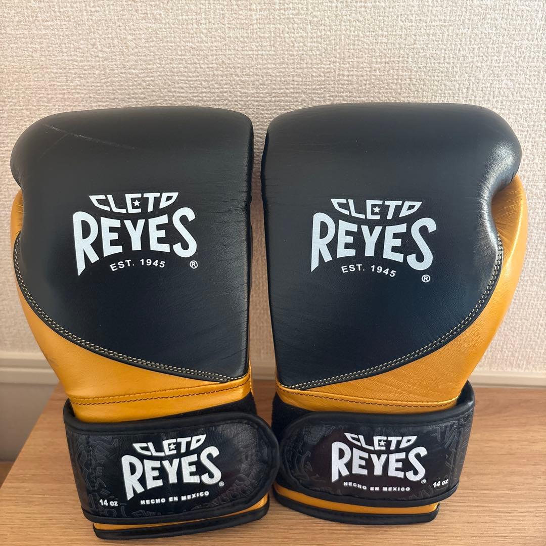 レイジェス(reyes) スパーリング・トレーニング用グローブ【14オンス】