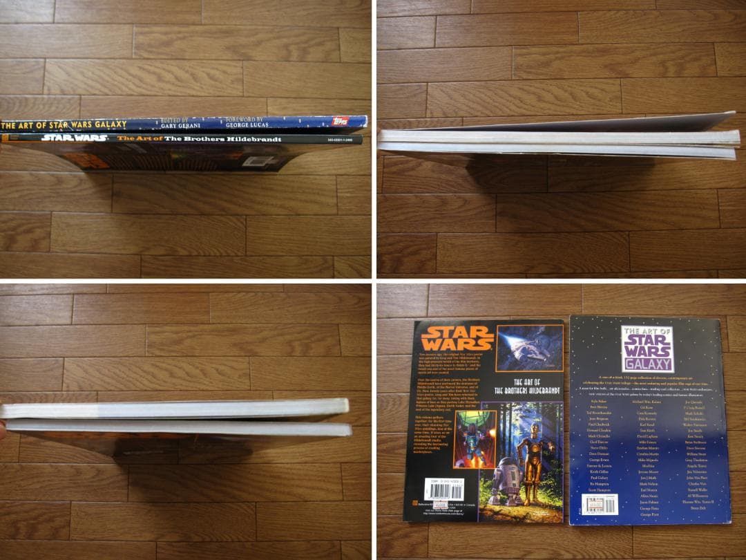 アート・デザイン・音楽 The Art of the Brothers Hildebrandt