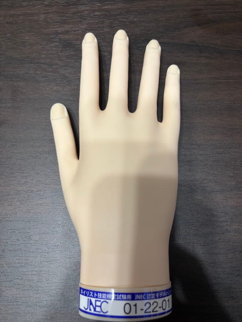 STモデルハンド右手&左手 ネイリスト技能検定試験用 JNEC認定モデルハンド