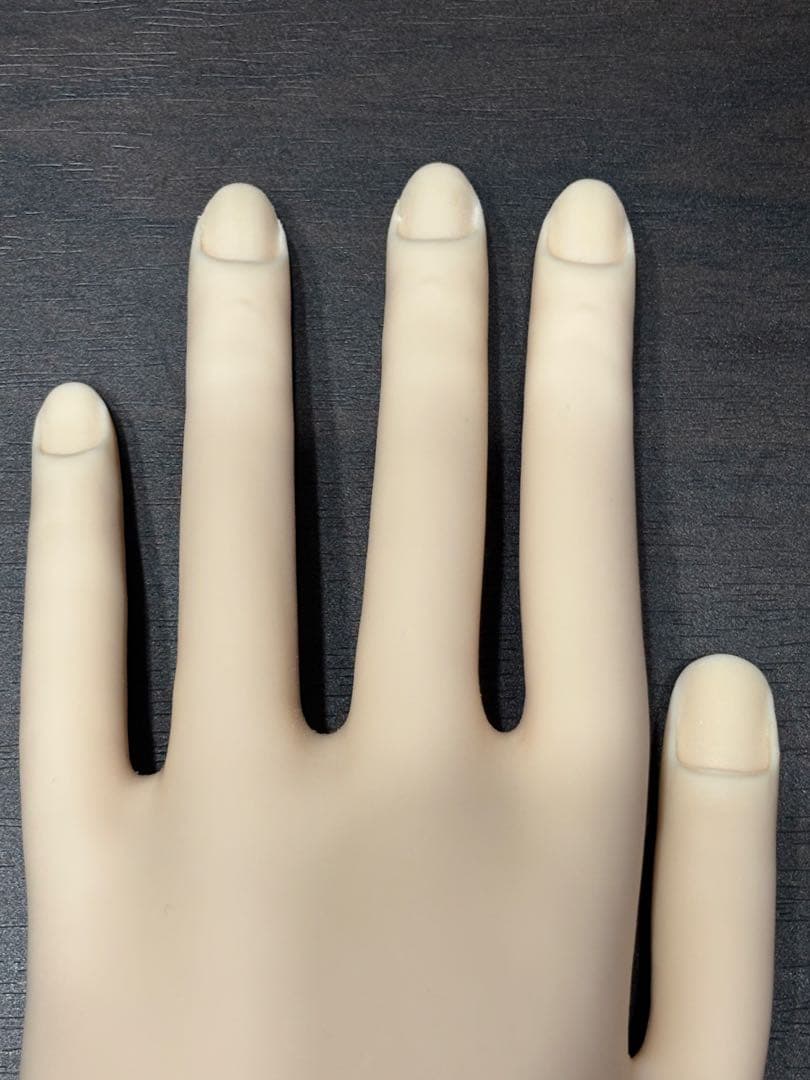 STモデルハンド右手&左手 ネイリスト技能検定試験用 JNEC認定モデルハンド