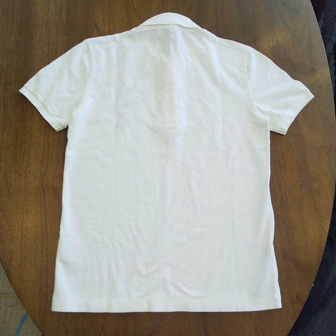 【GUCCI】 ホース柄 ポロシャツ新品 S～Mサイズ