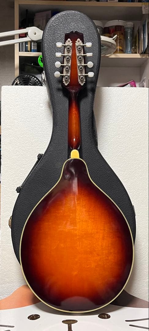 春日フラットマンドリン M-30 クリップピックアップ、ハードケース付き！