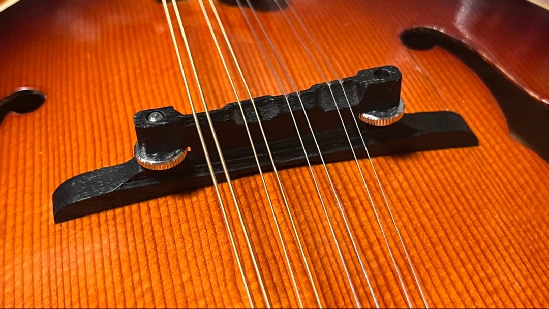 春日フラットマンドリン M-30 クリップピックアップ、ハードケース付き！