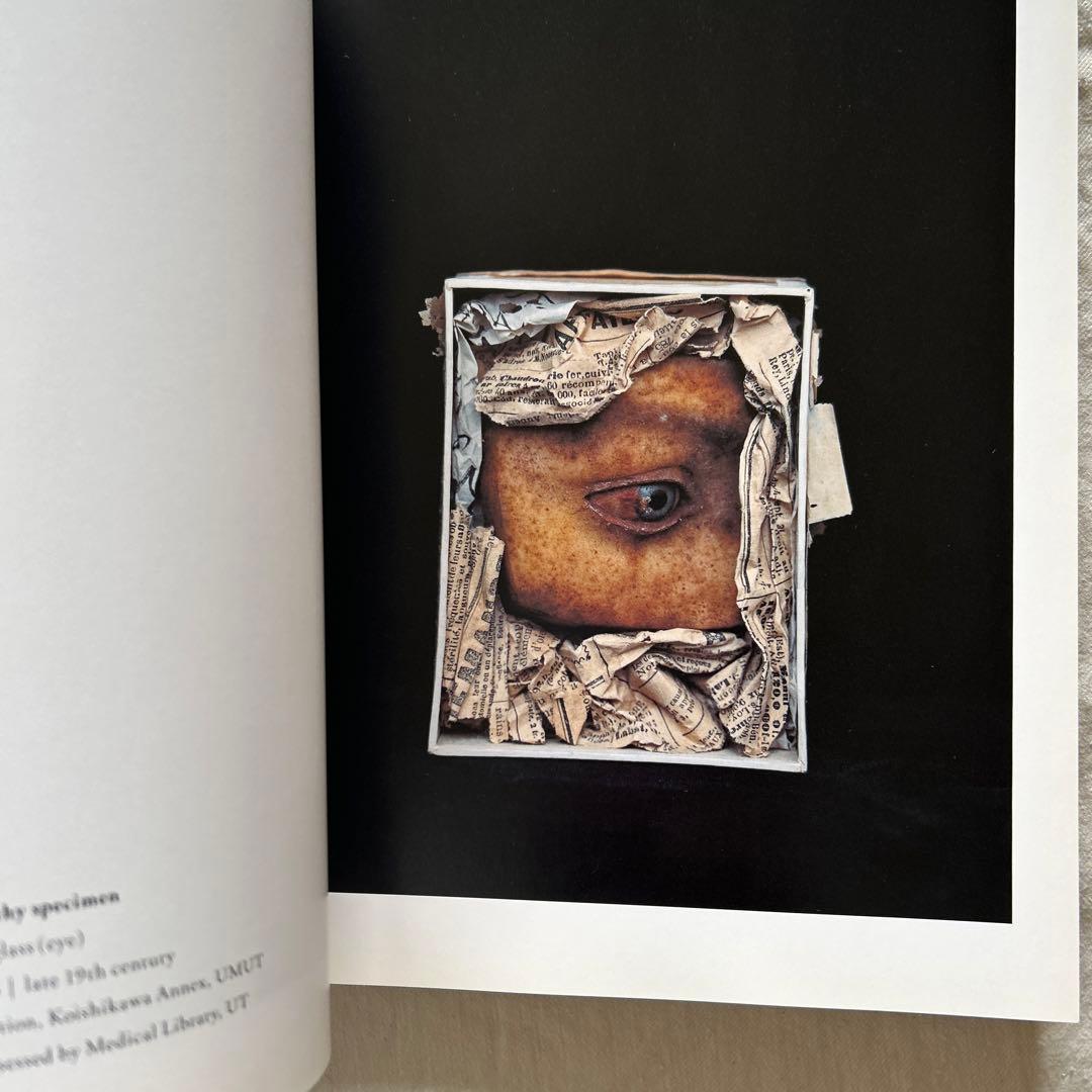 アート・デザイン・音楽 CHAMBER of CURIOSITIES