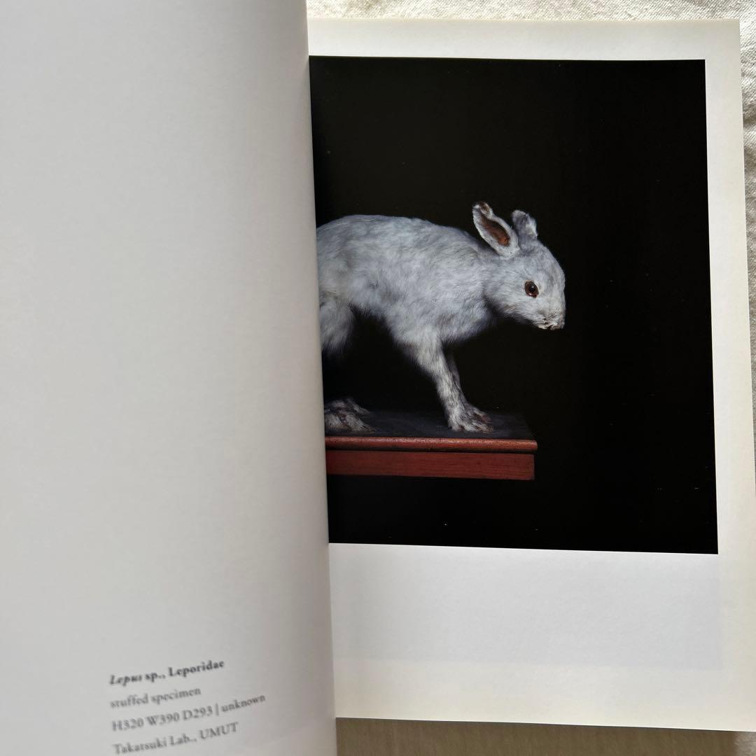 アート・デザイン・音楽 CHAMBER of CURIOSITIES