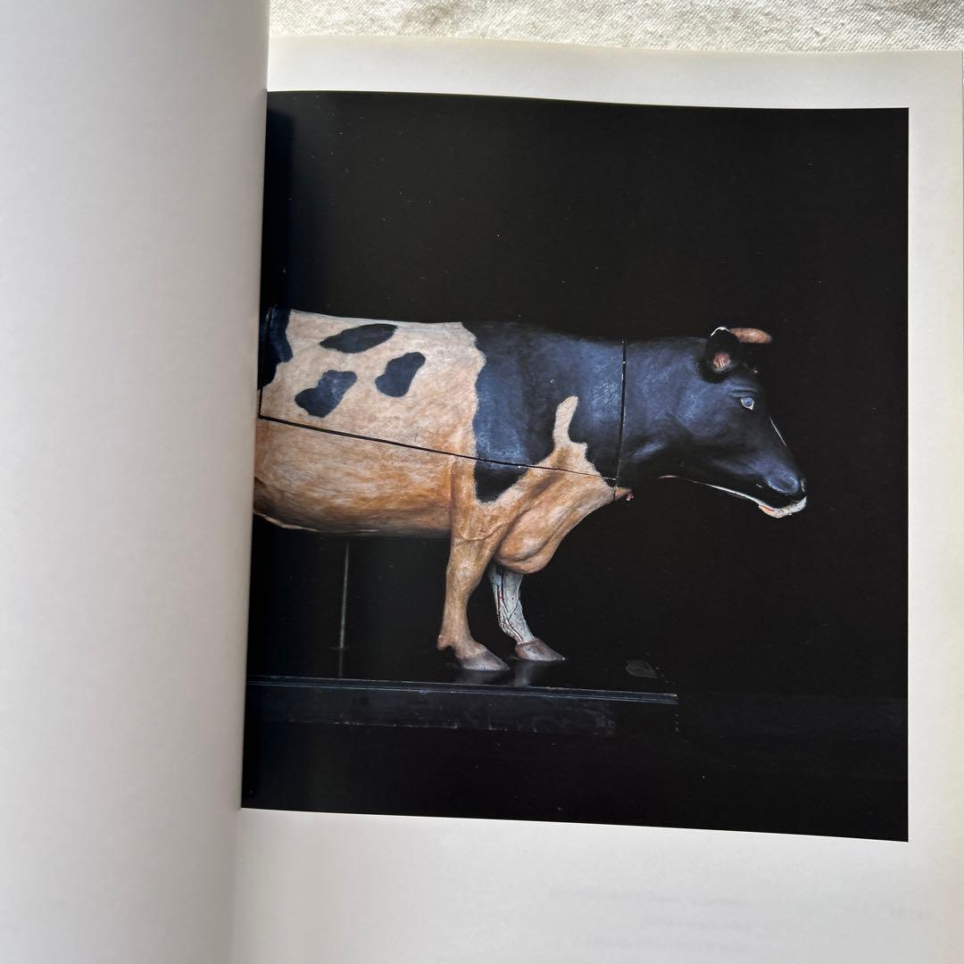 アート・デザイン・音楽 CHAMBER of CURIOSITIES