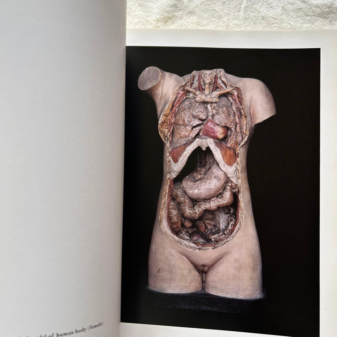 アート・デザイン・音楽 CHAMBER of CURIOSITIES