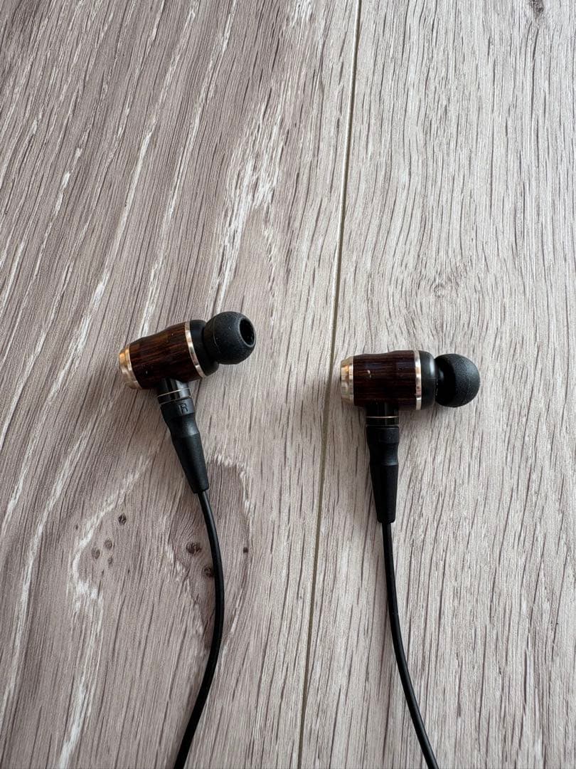 イヤホン JVC HA-FX850