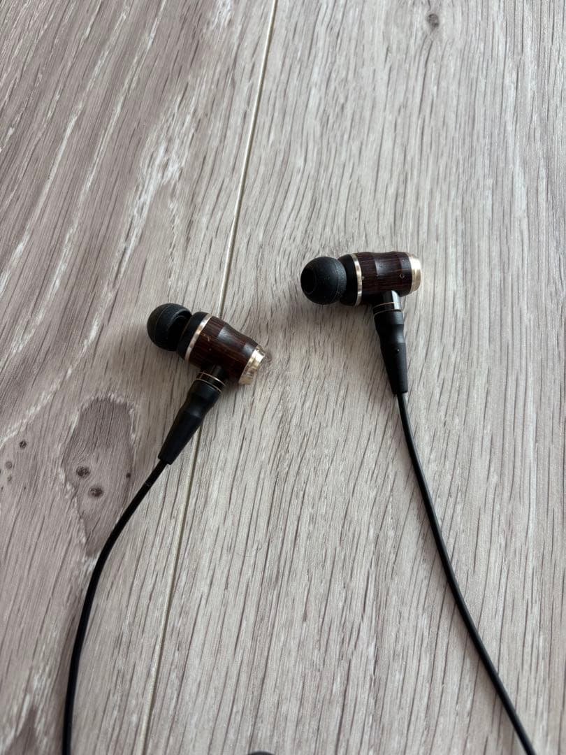 イヤホン JVC HA-FX850