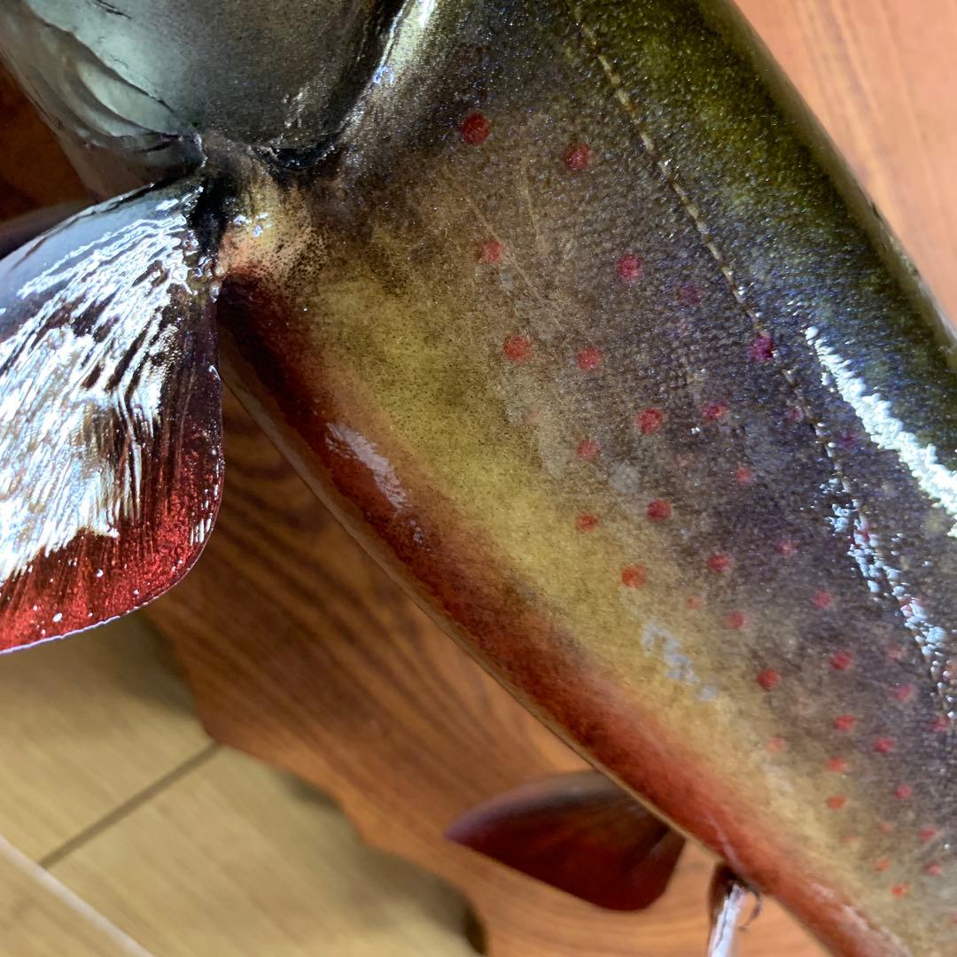 過*ィ様 剥製　魚類剥製工房エフクラフト　イケメンブルックトラウト三口雄40 イ