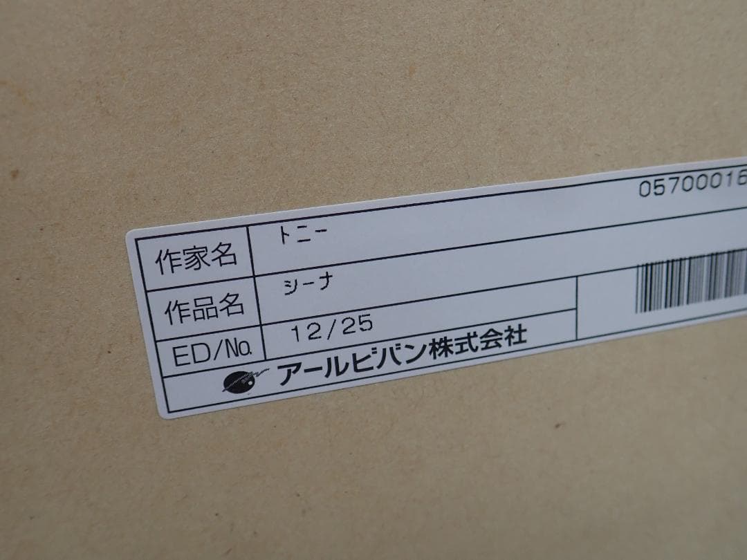 ⑪新品・保証書付 Tony トニー「シーナ」ミクスドメディア　アールビバン