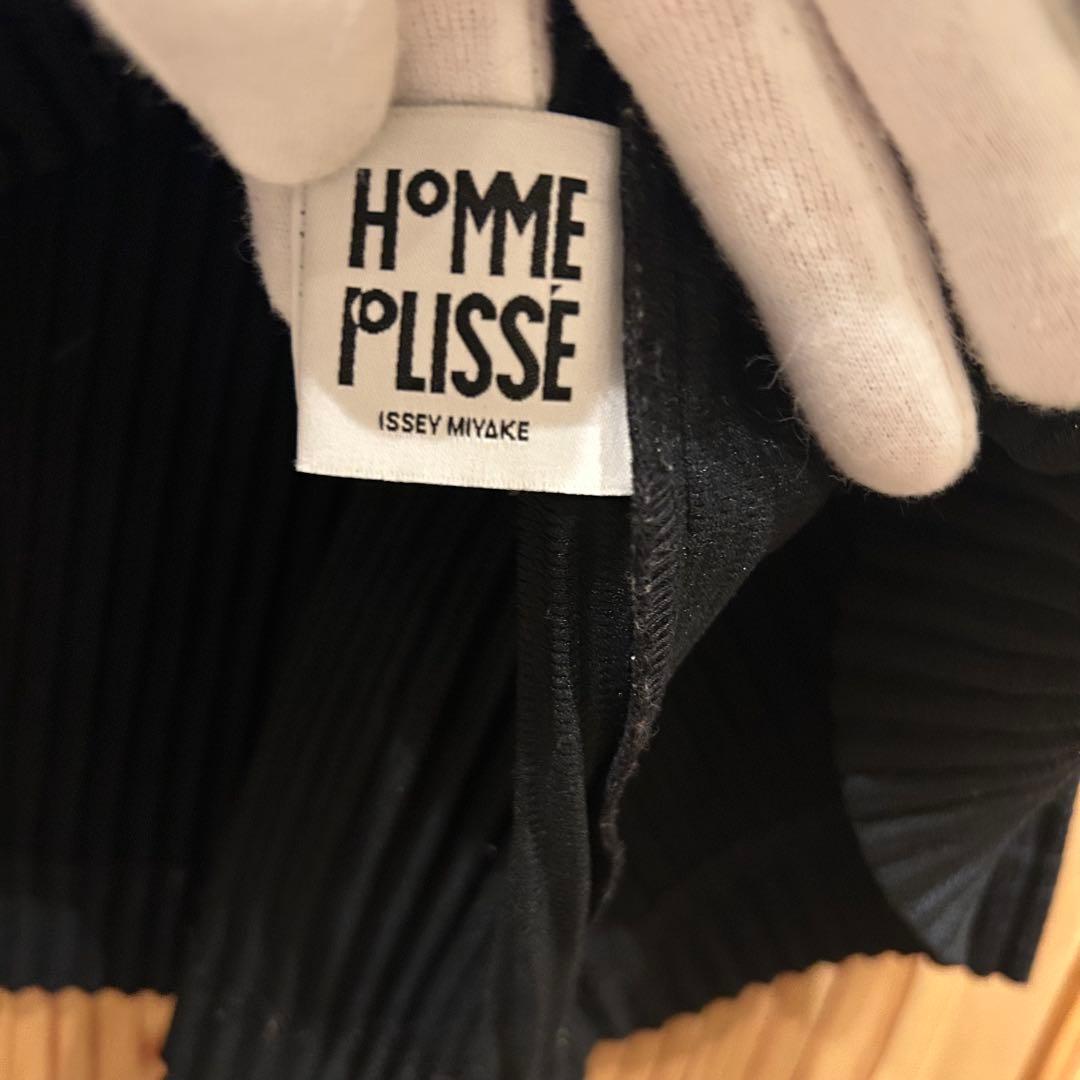 HOMME PLISSE ISSEI MIYAKE プリーツカットタートル　2