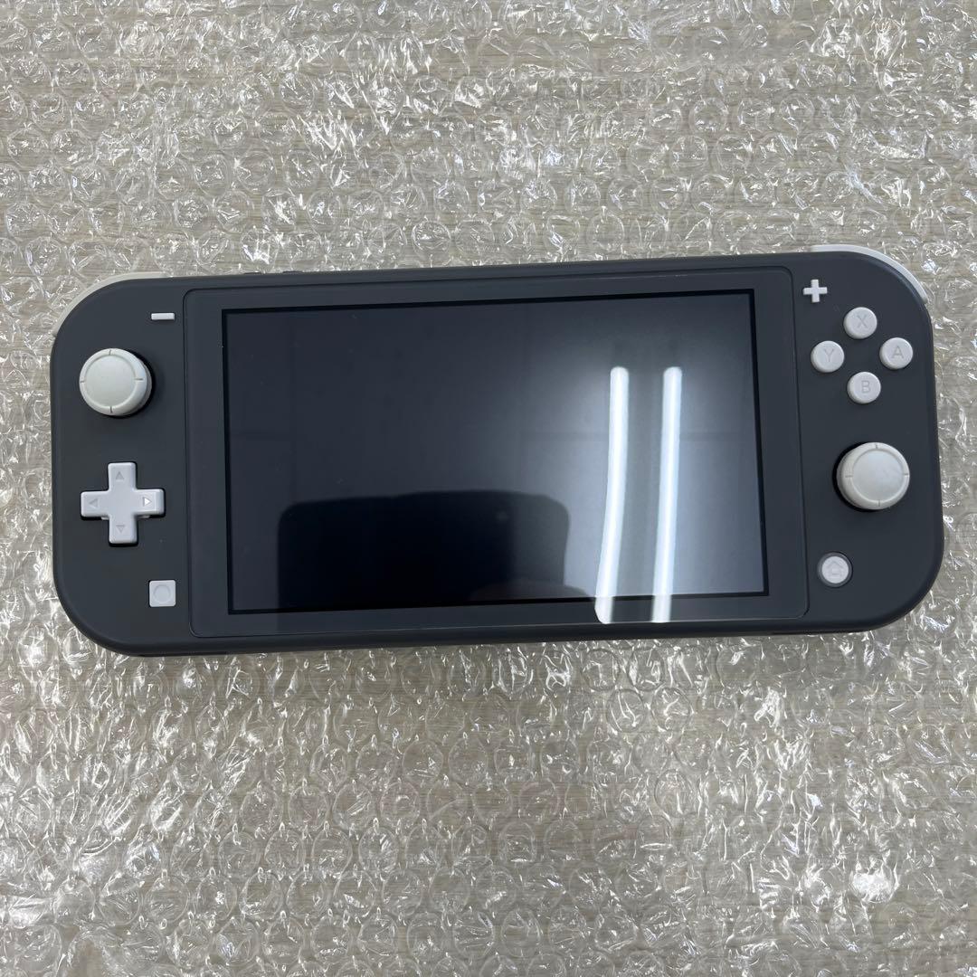 Nintendo Switch Lite グレー 本体　スタンド　ケース　セット