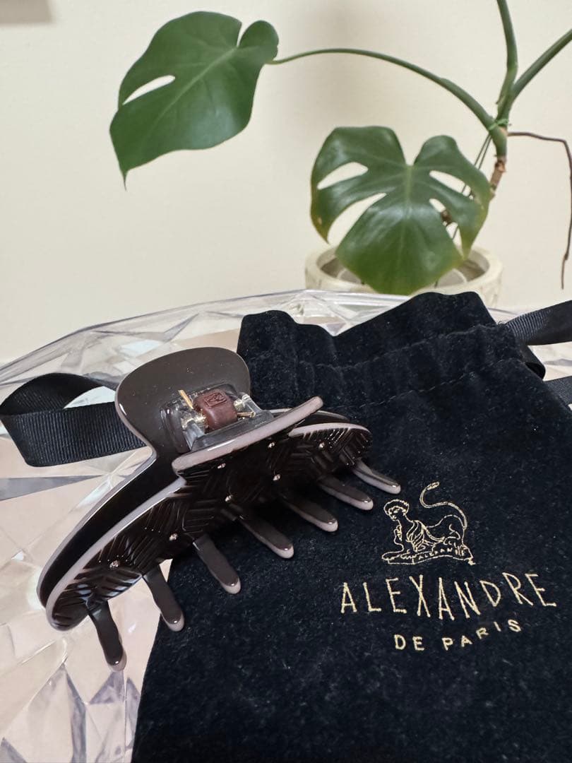 TAMAKO希少デザイン♡アレクサンドルドゥパリ　スワロフスキークリップ