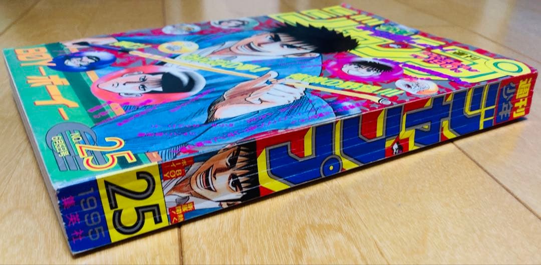 週刊少年ジャンプ　1995年25号 【最終回】ドラゴンボール/ 鳥山明