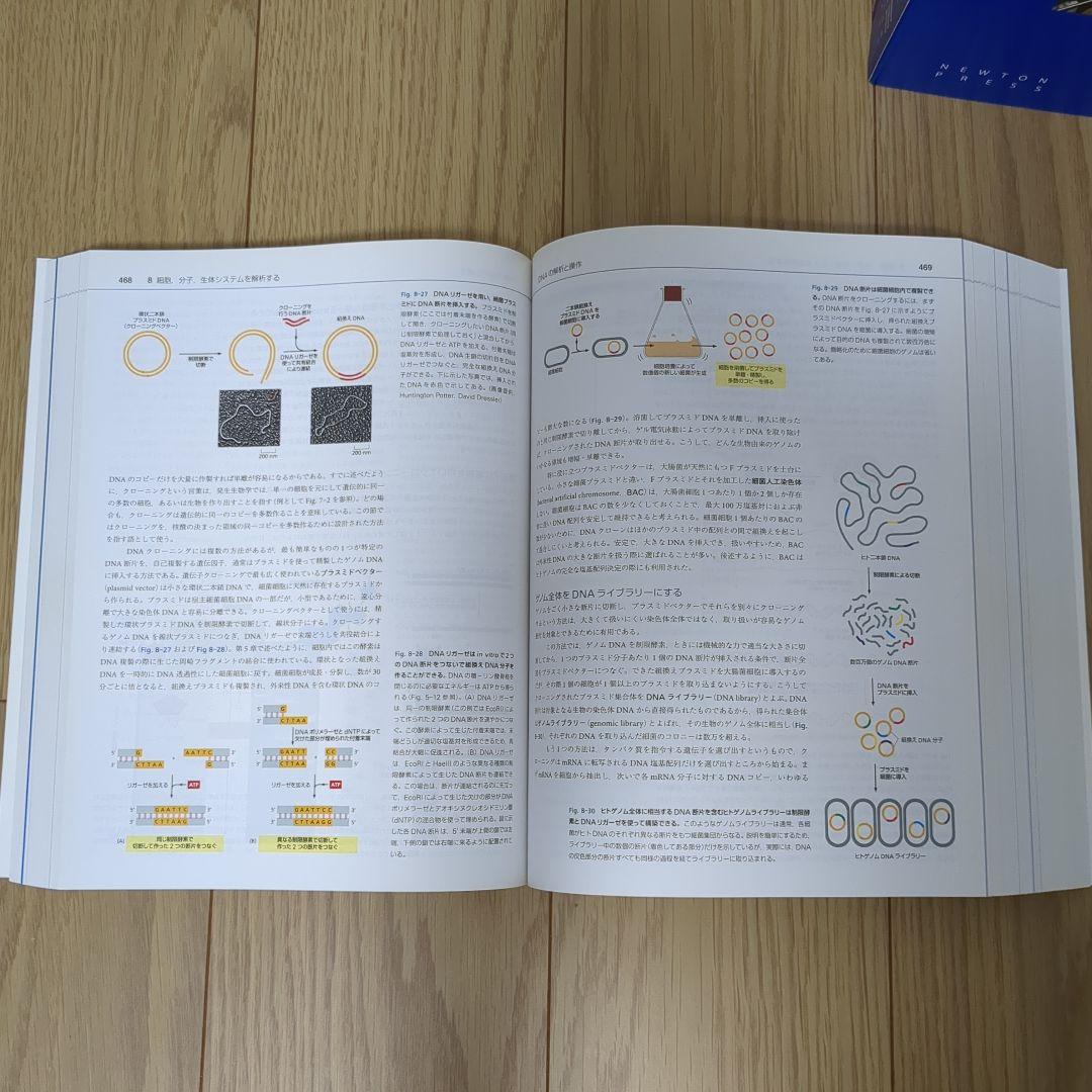 細胞の分子生物学 第6版（日本語訳版）