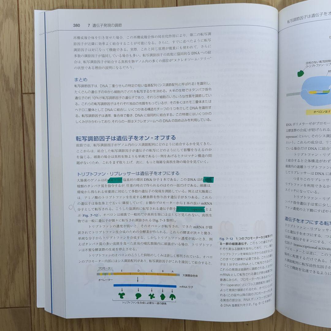 細胞の分子生物学 第6版（日本語訳版）