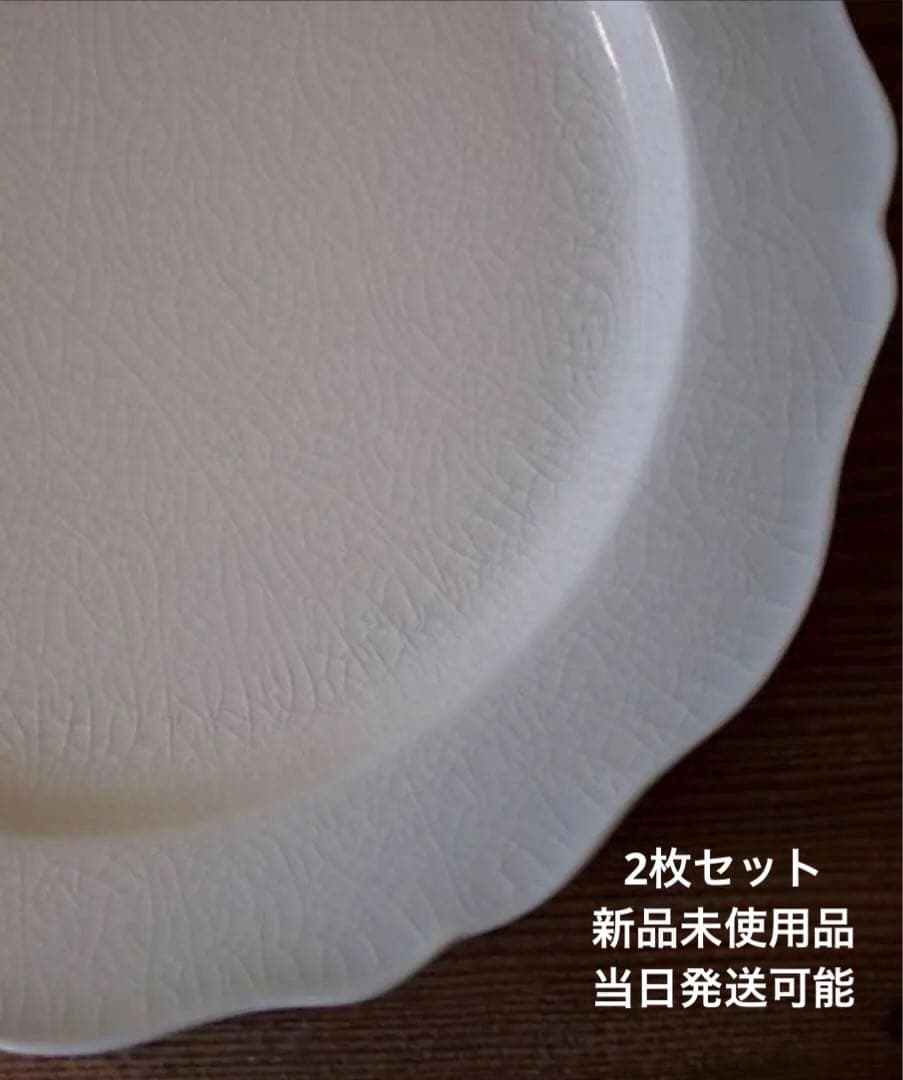新品未使用　石川隆児 Flower rim Plate kannyu 2枚