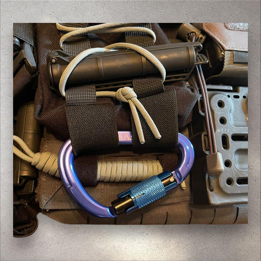 Direct action (ダイレクトアクション)プレキャリ　付属品多数