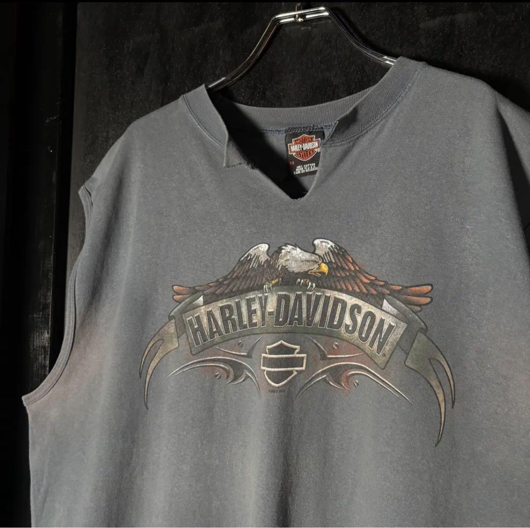 USA製　HARLEY-DAVIDSON ハーレーノースリーブ　アメリカ製