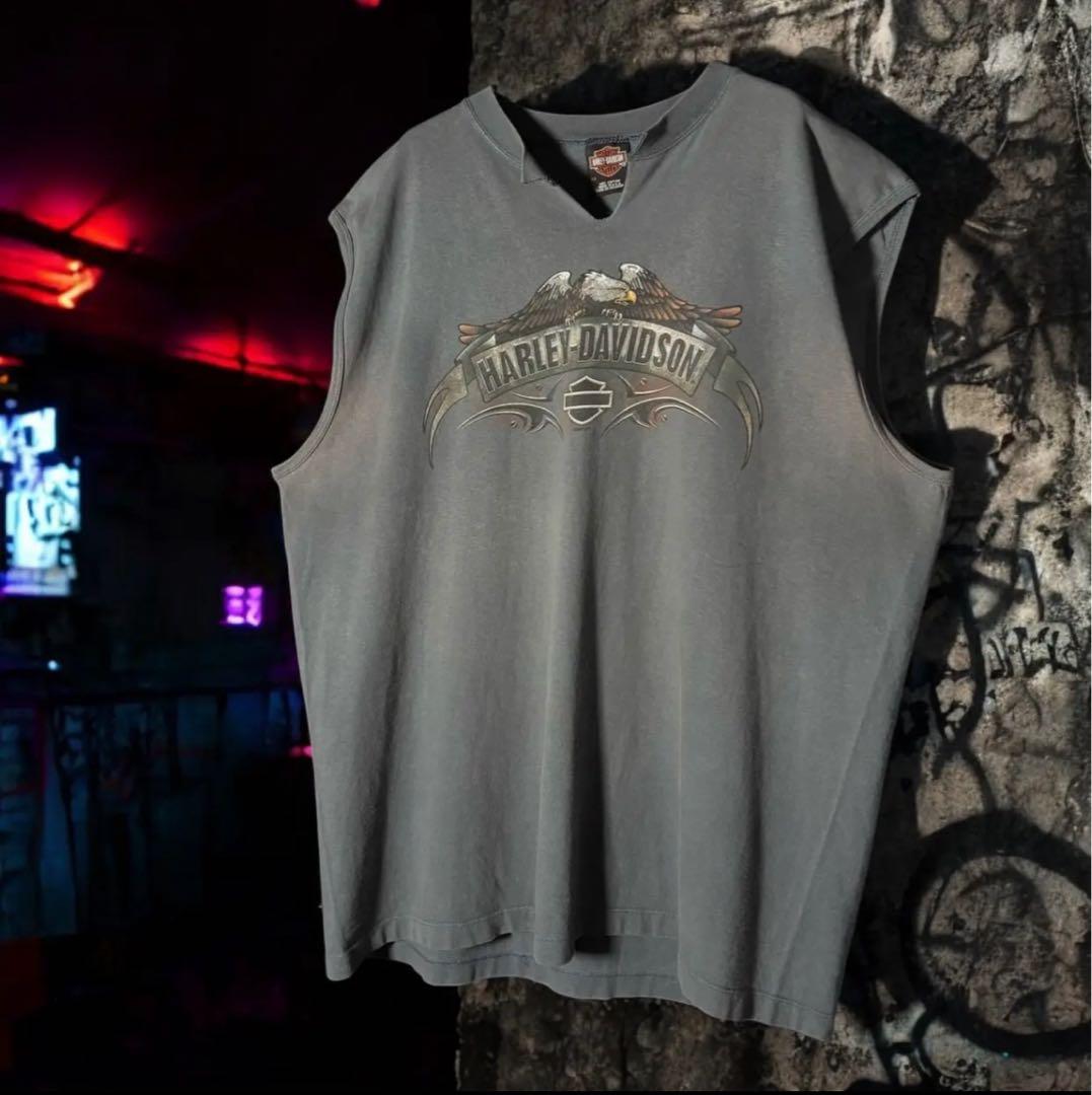 USA製　HARLEY-DAVIDSON ハーレーノースリーブ　アメリカ製