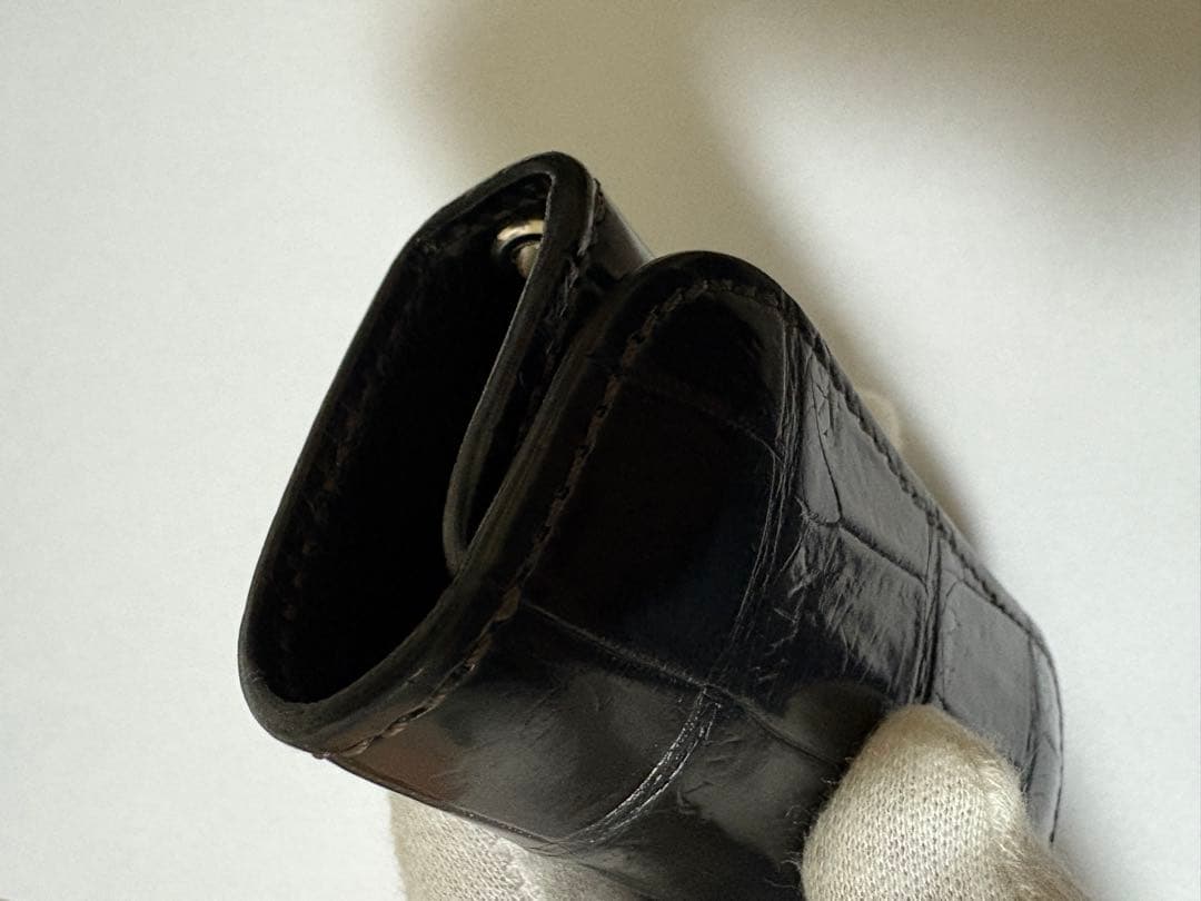 ワイルドスワンズ　クリッパー３　クロコダイル