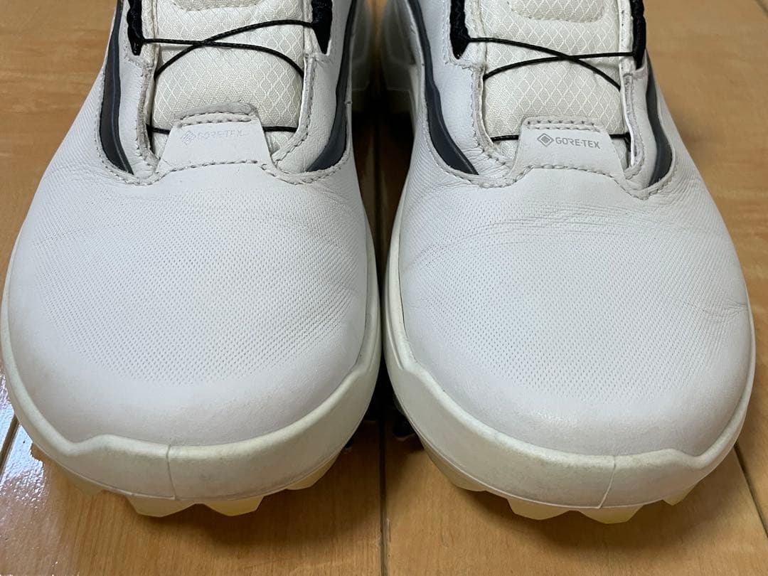 極美品 ECCO GOLF BIOM G5 BOA GORE-TEX