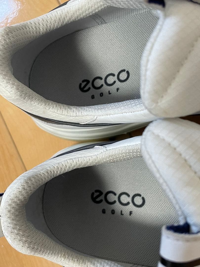 極美品 ECCO GOLF BIOM G5 BOA GORE-TEX