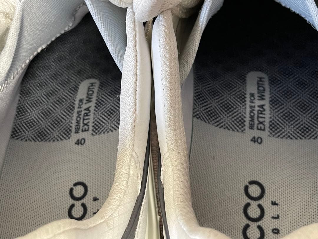 極美品 ECCO GOLF BIOM G5 BOA GORE-TEX